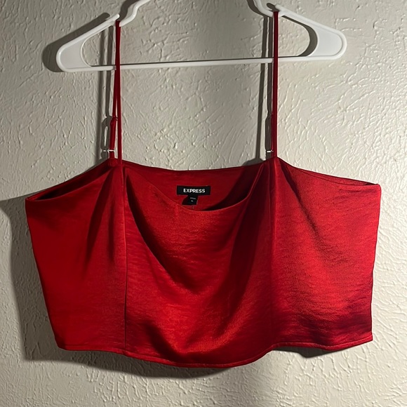 2 for $30 Express crop top - Picture 4 of 7